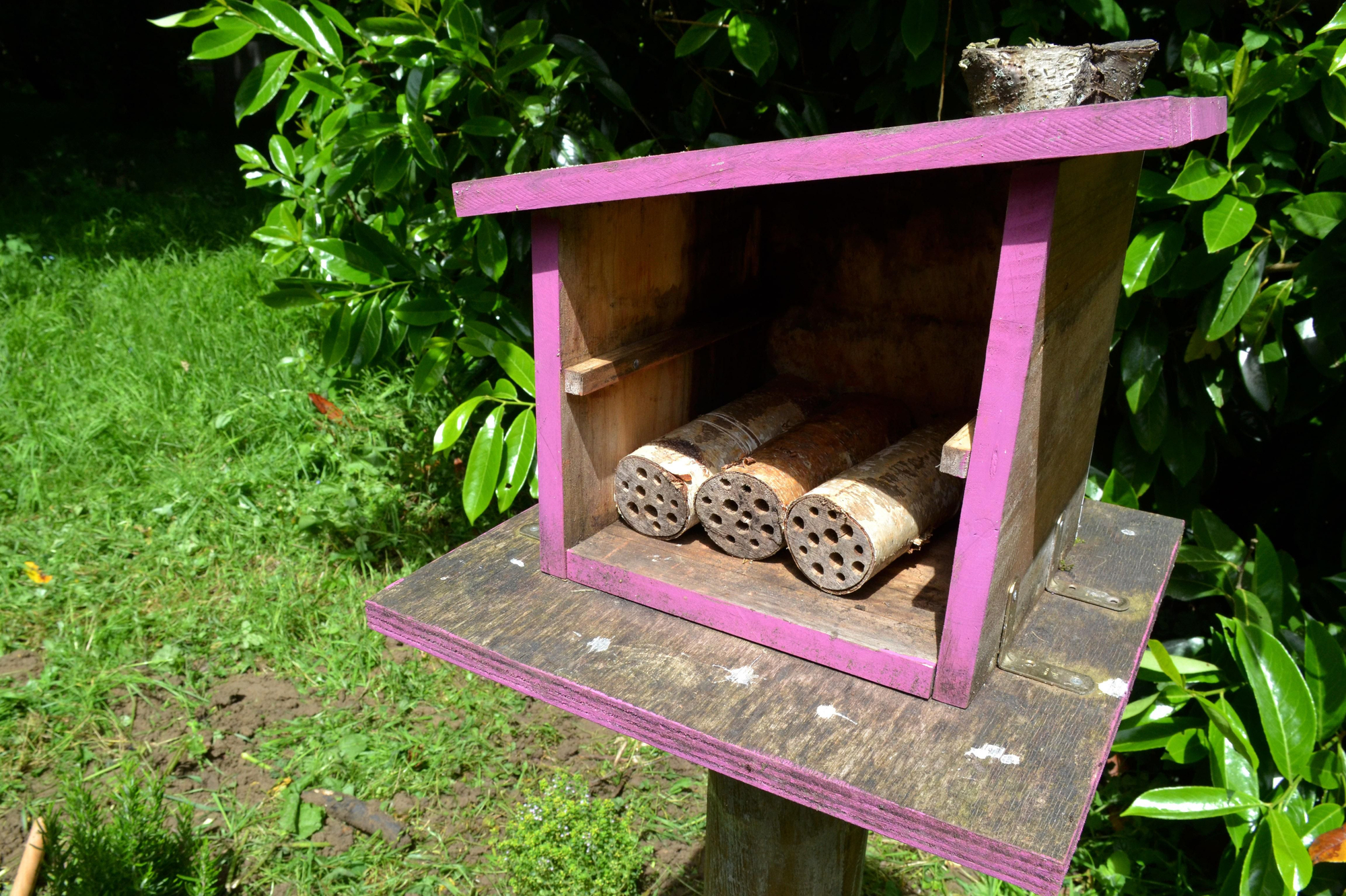 Uno de los hoteles para insectos, antes de finalizarse todos los trabajos necesarios en él.