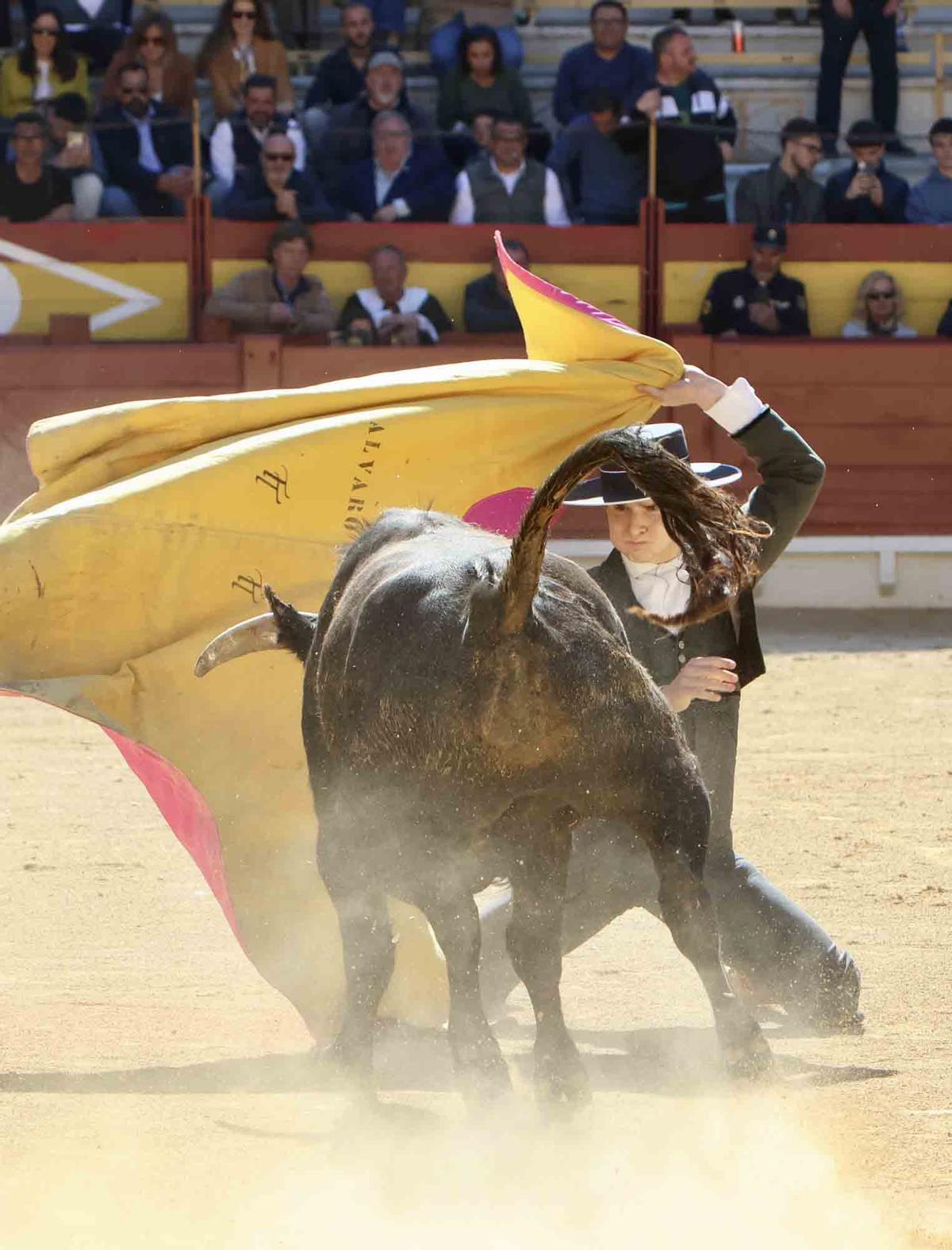 Éxito artístico en el V certamen José María Manzanares de Alicante