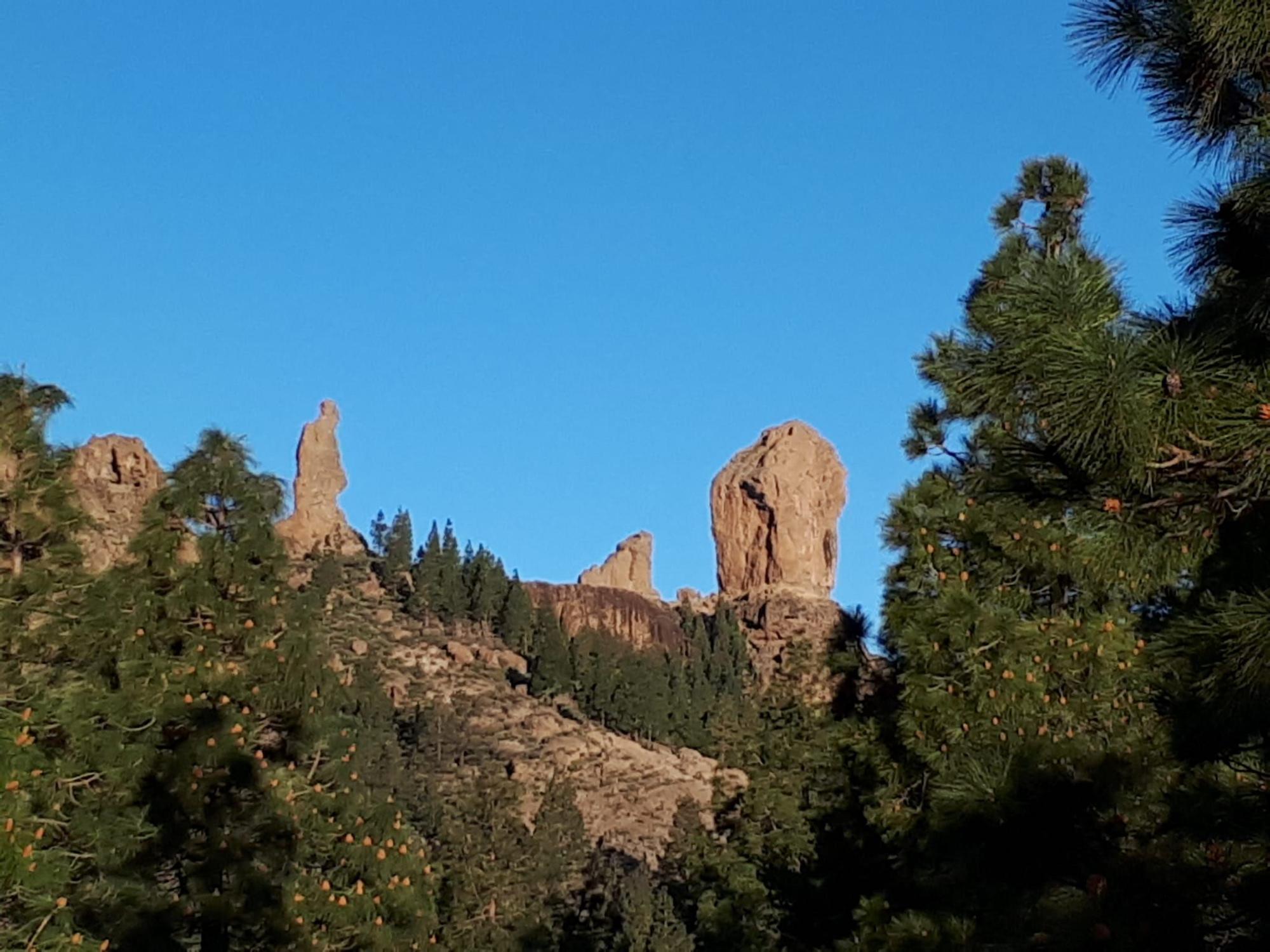 La primavera en Gran Canaria