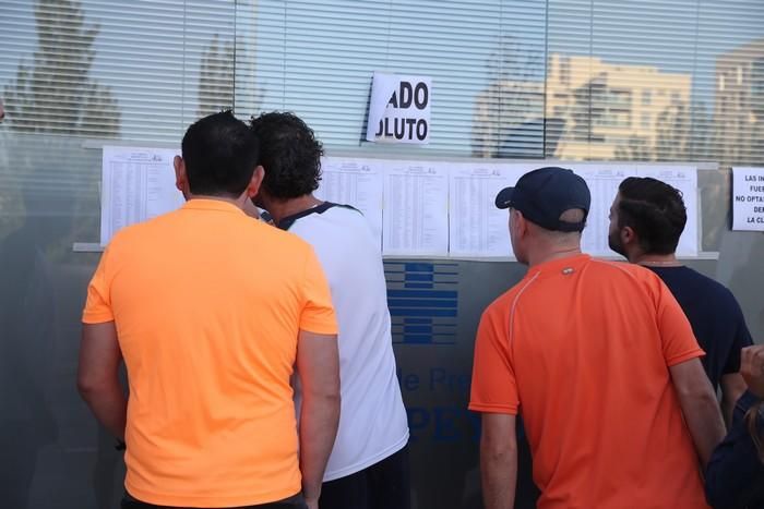 Carrera Popular Run for Parkinson´s Lorca 2019 (I)