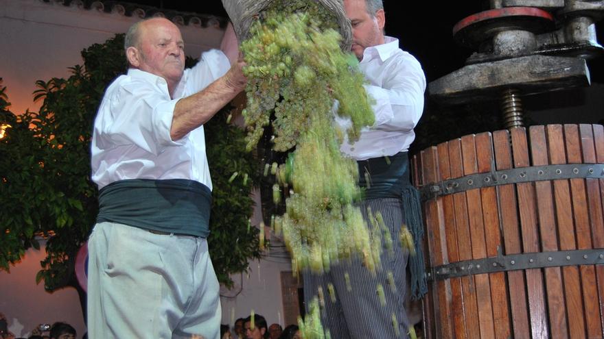 ¡Atención winelovers! Diez razones para viajar a Montilla en septiembre
