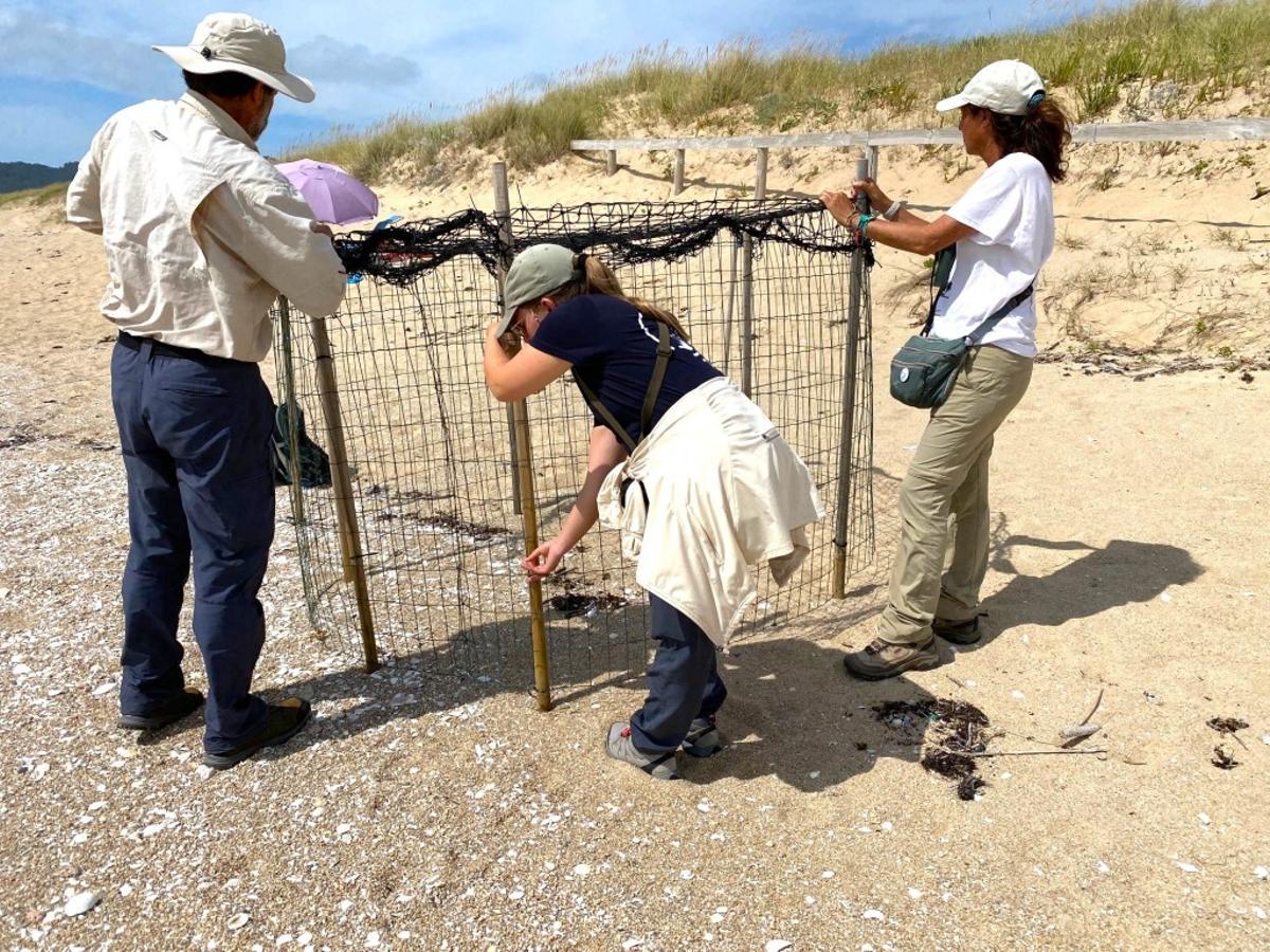 Miembros de SEO/BirdLife instalando un jaulón de protección.