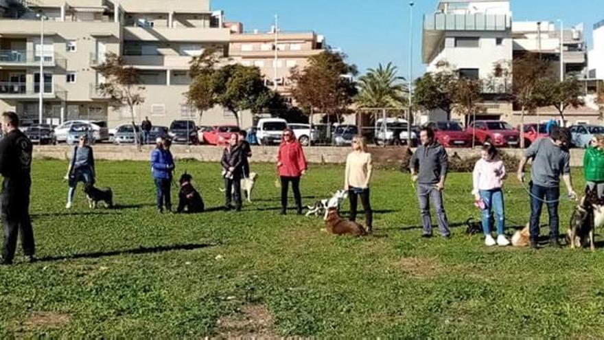 Vecinos hasta de Amposta acudieron al curso de educación canina del Port de Sagunt