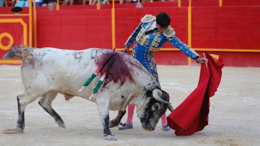 Una de las novilladas del pasado año.