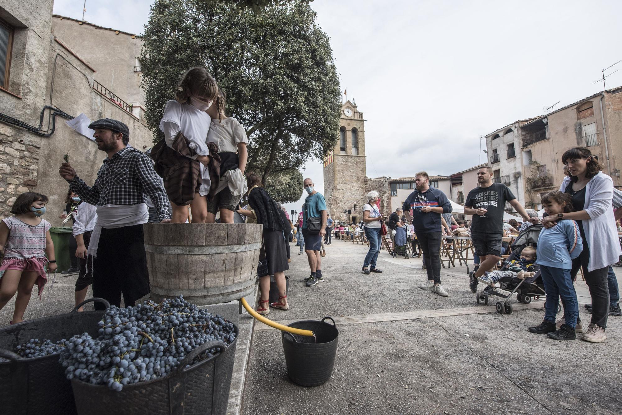 26a edició de la Festa de la Verema del Bages