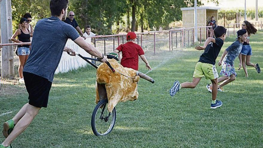 Encierro ecológico del pasado año de las fiestas de la Asunción de Coreses.