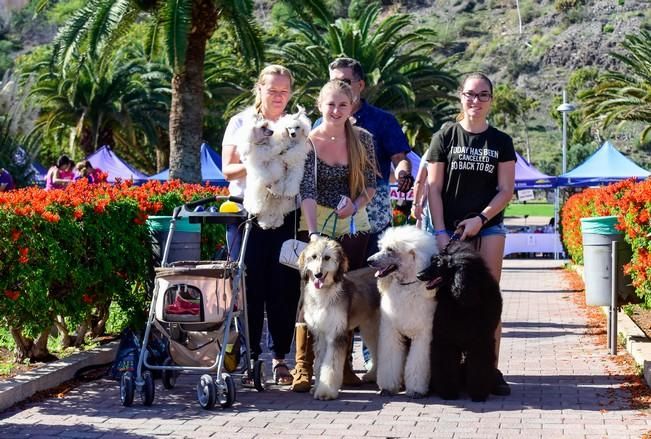 10/12/2016 MASPALOMAS. Feria de Mascotas Maspalomas 2016.Foto: SABRINA CEBALLOS