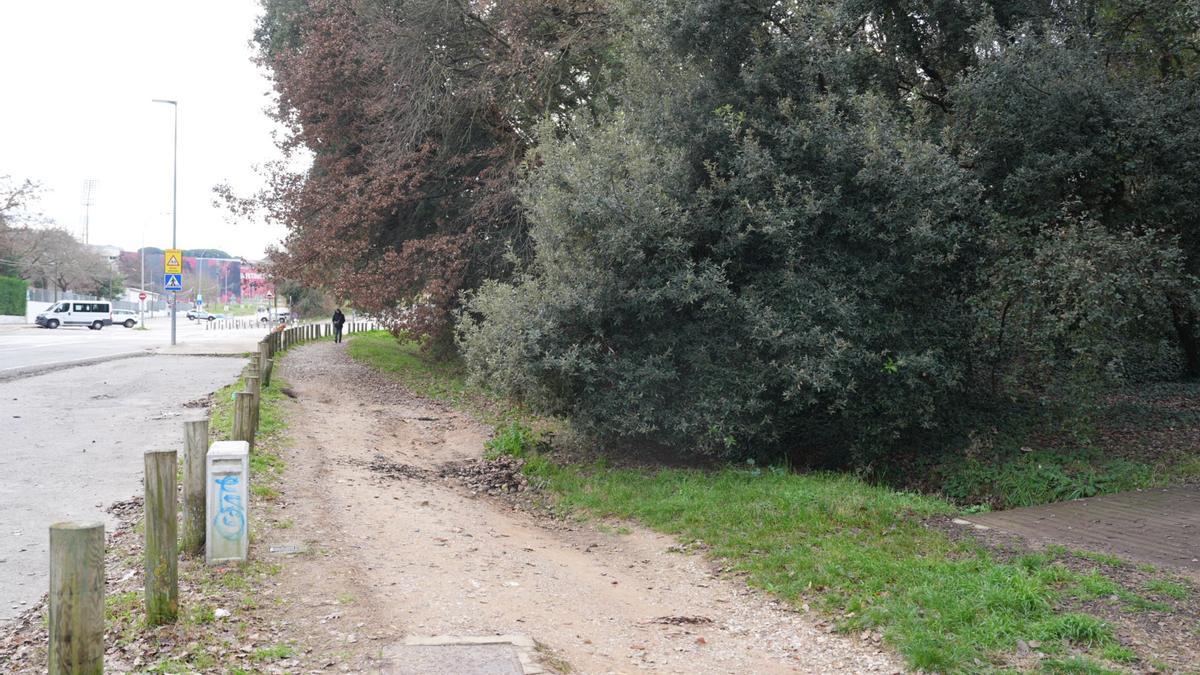 Una imatge del lloc on s’actuarà.