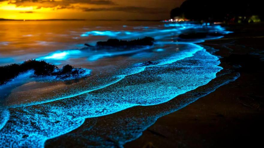 7 paraísos de España donde ver la bioluminiscencia: un espectáculo de la naturaleza