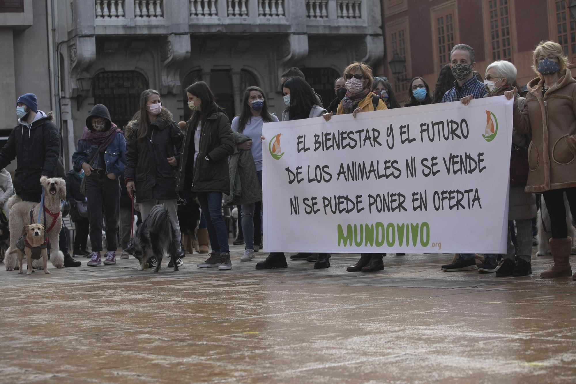 Protesta contra la nueva gestora del albergue de animales de La Bolgachina.