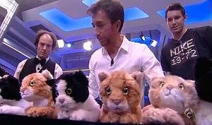El bitllet de Ferran Monegal