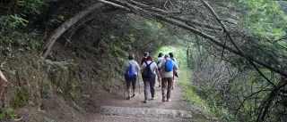 El Sergas recetará paseos por el monte
