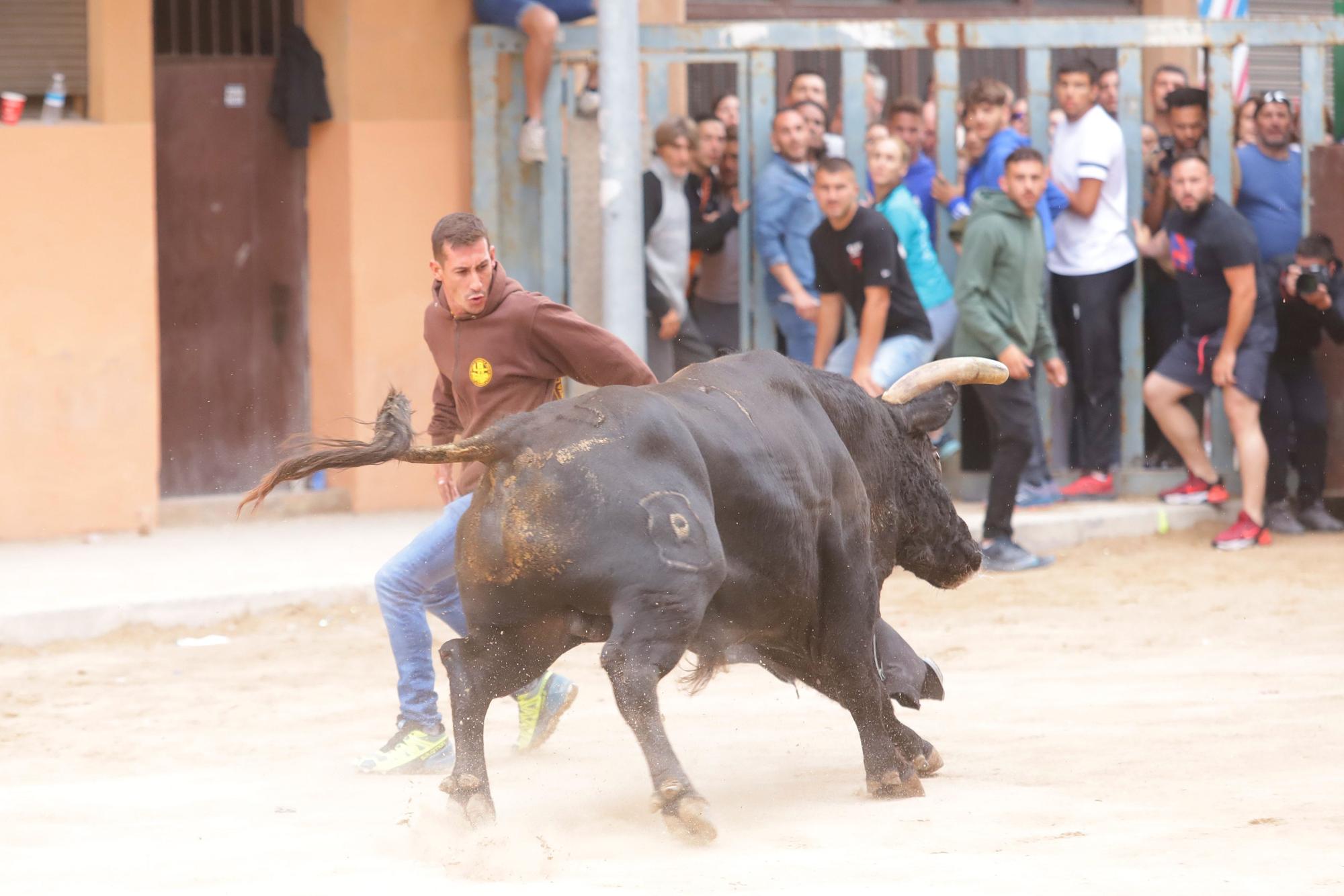 Búscate en las fotos del último sábado de fiestas de Vila-real