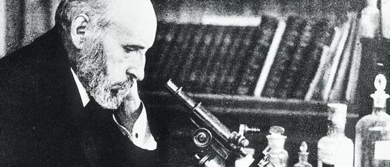 Ramón y Cajal.