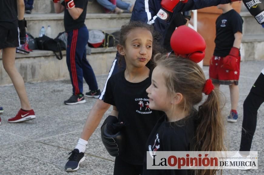 Fiesta del Deporte de Murcia (domingo)