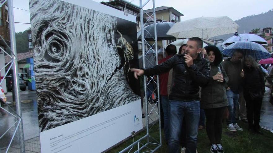 Juan Jesús González Ahumada muestra su imagen premiada.