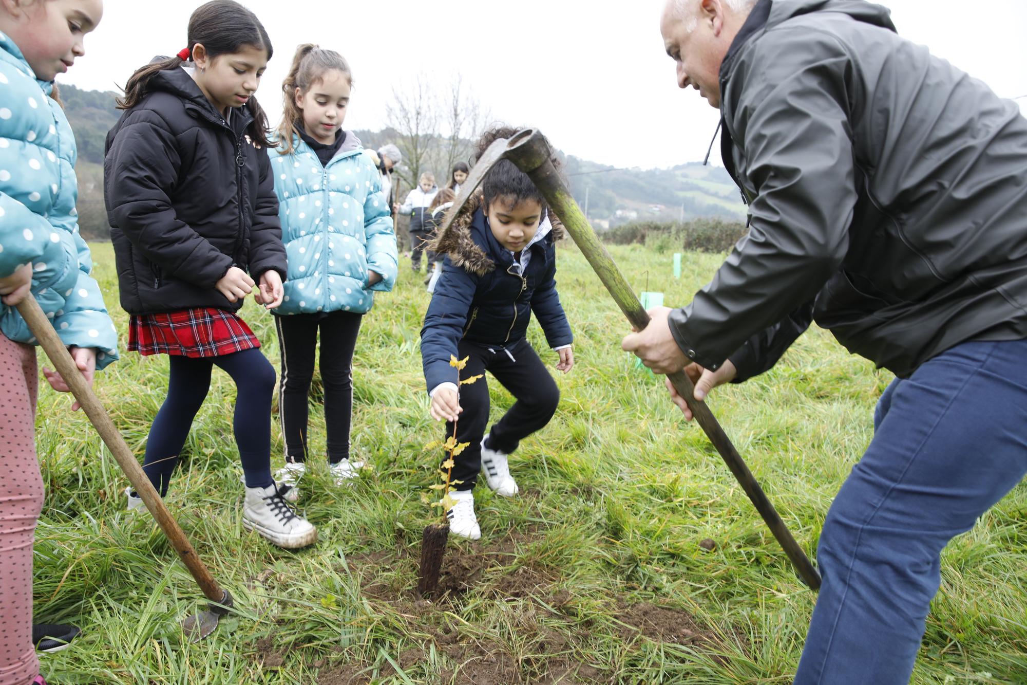 En imágenes: La alcaldesa de Gijón, en la plantación de árboles autóctonos en Somonte