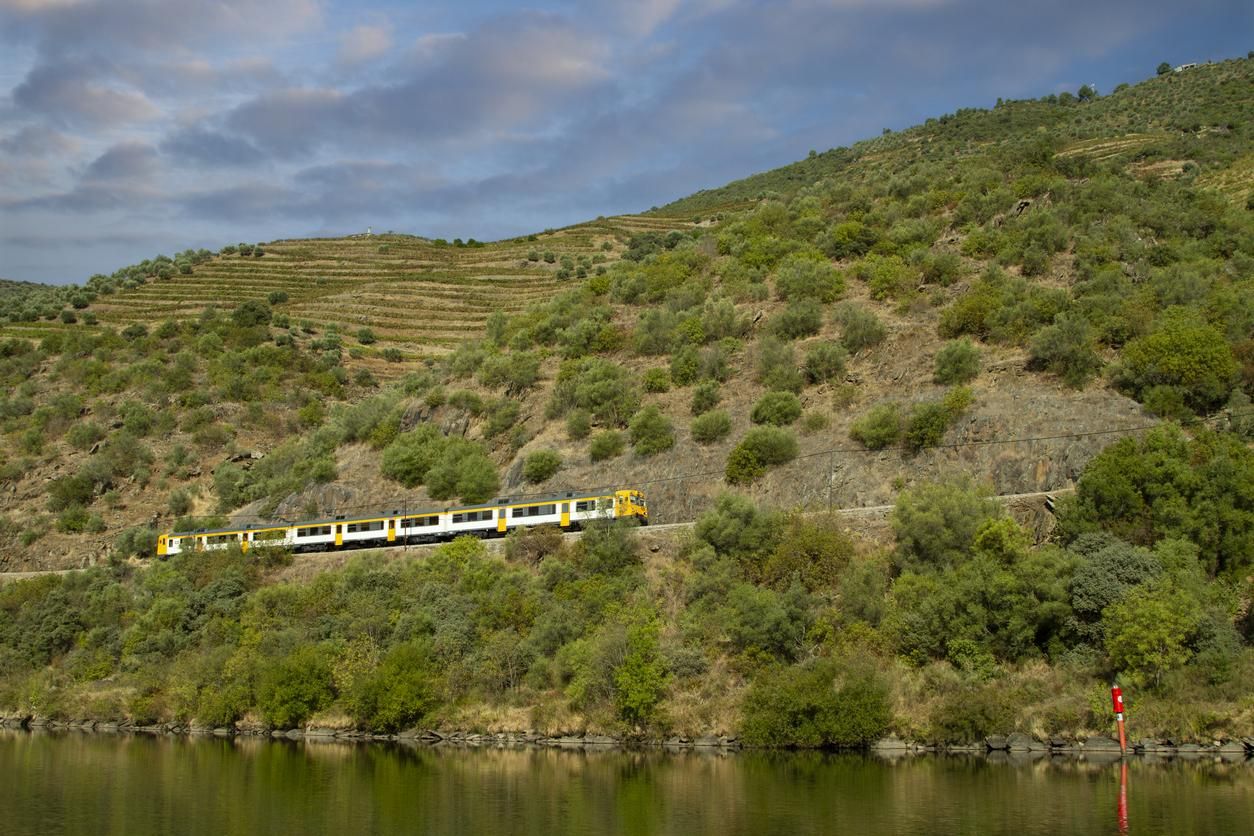 Viñedos por el valle del Duero