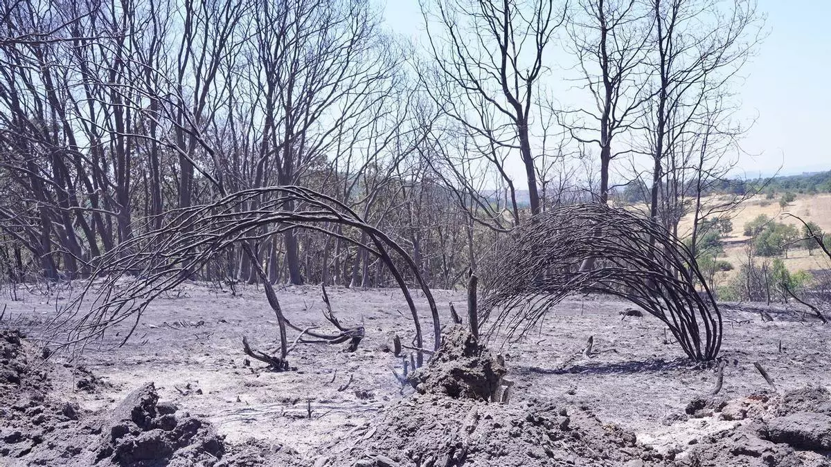 Extinguido el incendio de Rábano de Aliste, casi una semana después de su inicio