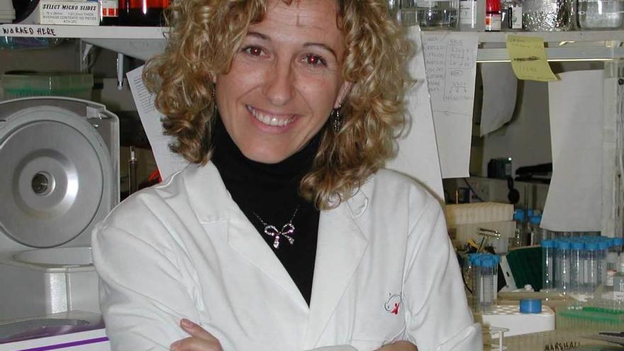 Victoria Sanz-Moreno, en su laboratorio en Londres.