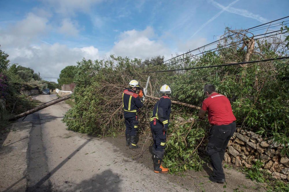 Un 'cap de fibló' en Menorca deja 38.000 vecinos sin electricidad