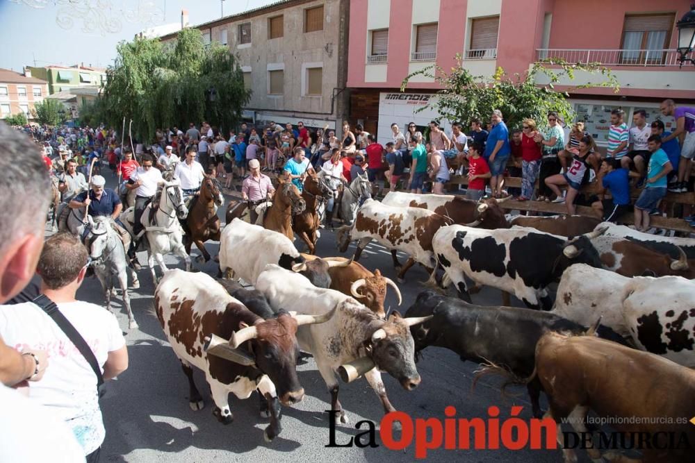 Quinto encierro en Moratalla