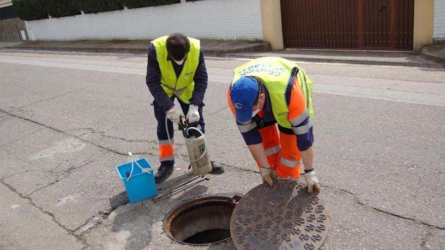 Especialistas en control de plagas revisan unas alcantarillas de la ciudad ante la presencia de roedores.