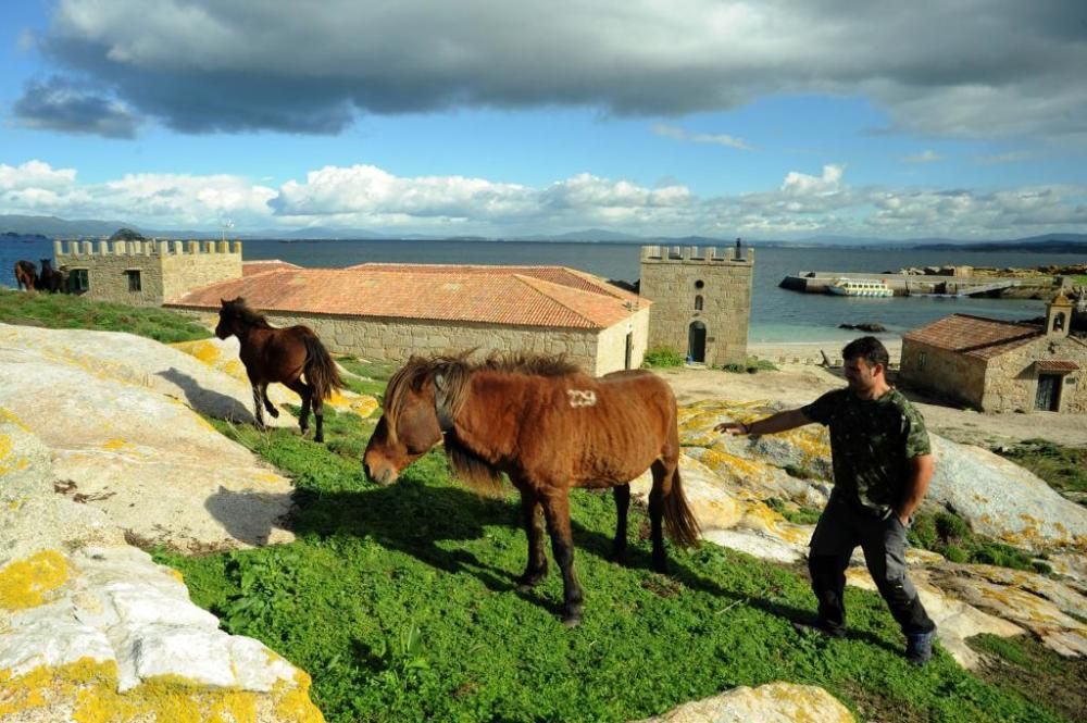 Sálvora, un paraíso de interés cultural