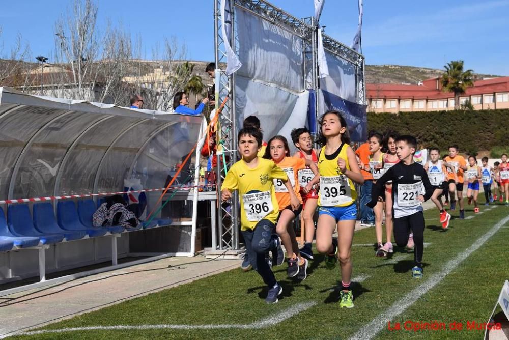 Cross de Jumilla 5