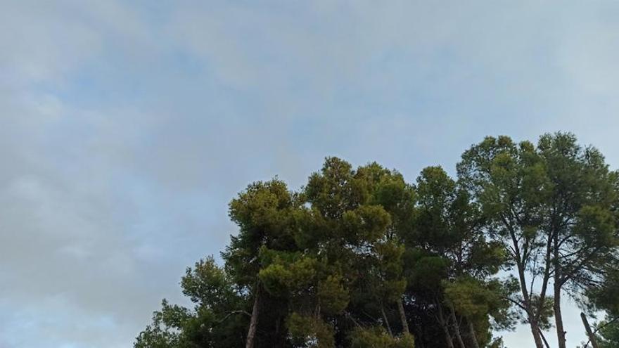 Cielos poco nubosos o despejados, con intervalos de nubes altas, y vientos flojos