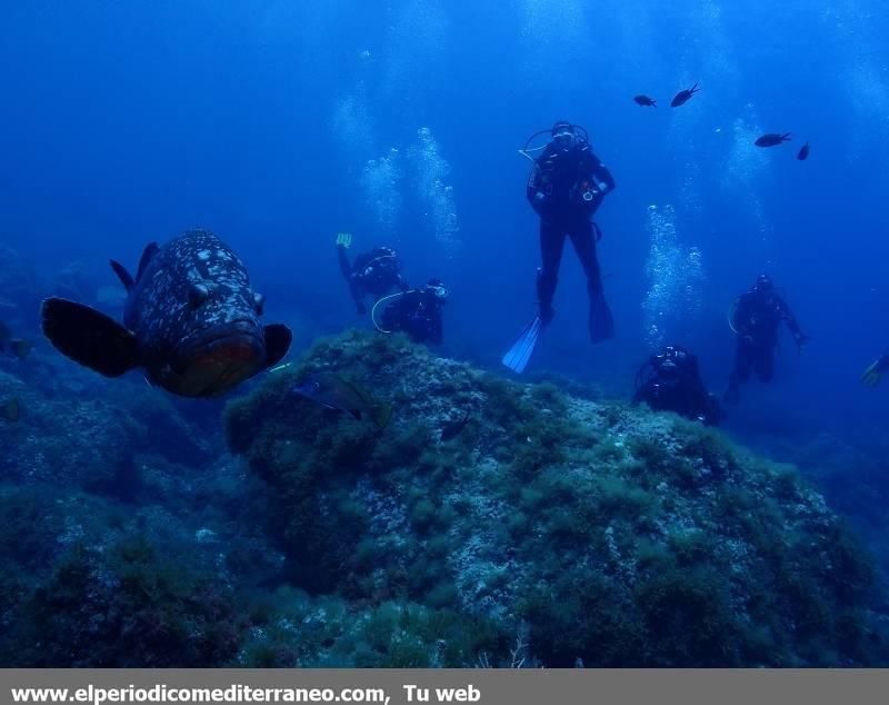 Submarinismo en Castellón