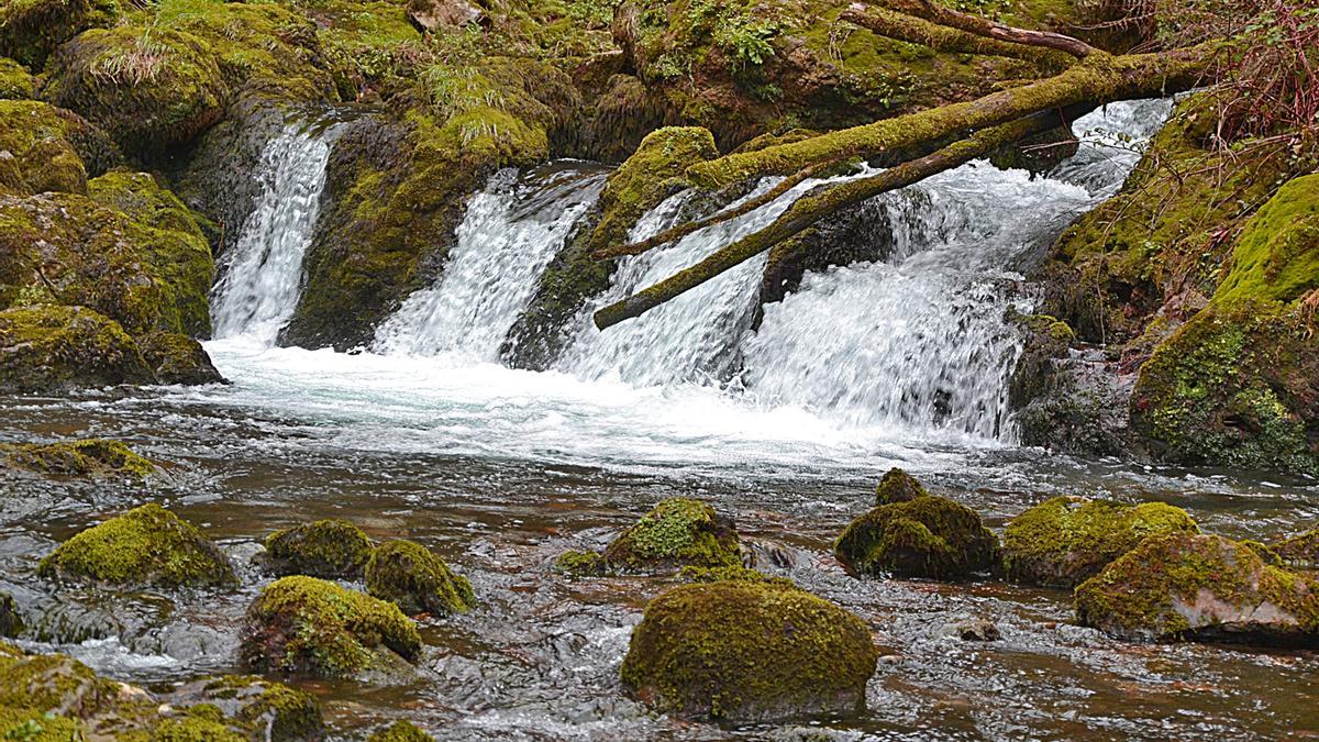 Pequeñas caídas de agua en el río Obaya, en la ruta que sale de Gobiendes.