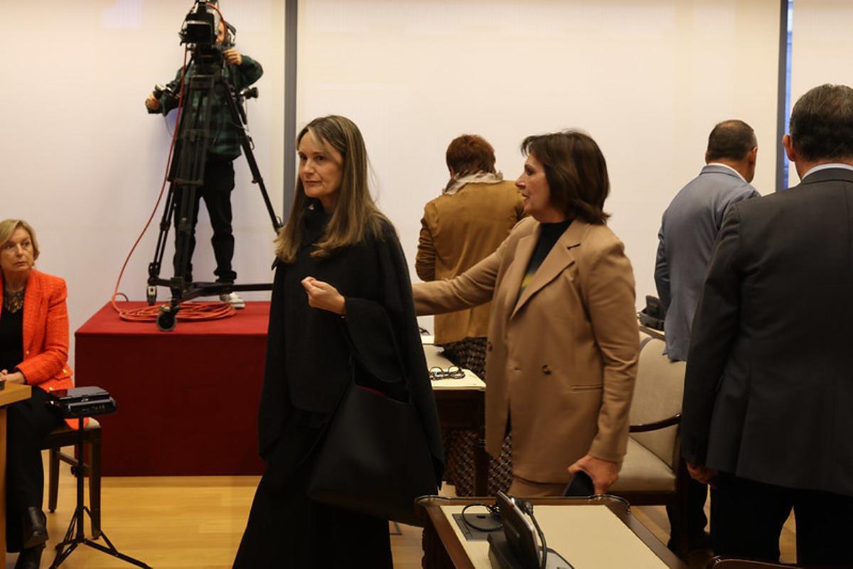 Rosa Álvarez en la comisión de la dana en el Congreso