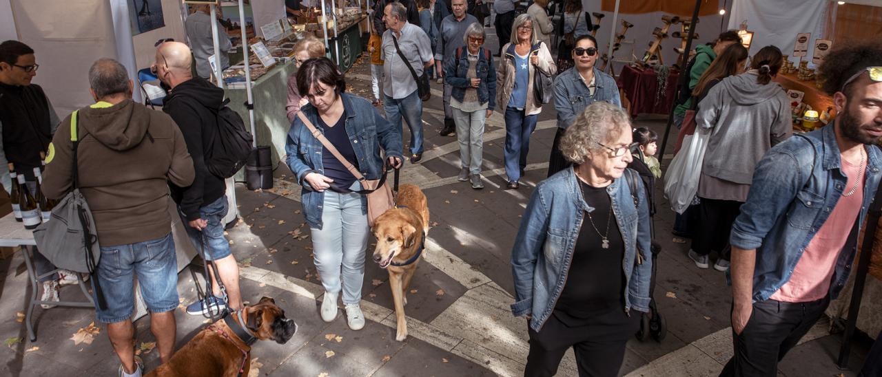 Ambient de l&#039;Ecoviure dissabte al matí