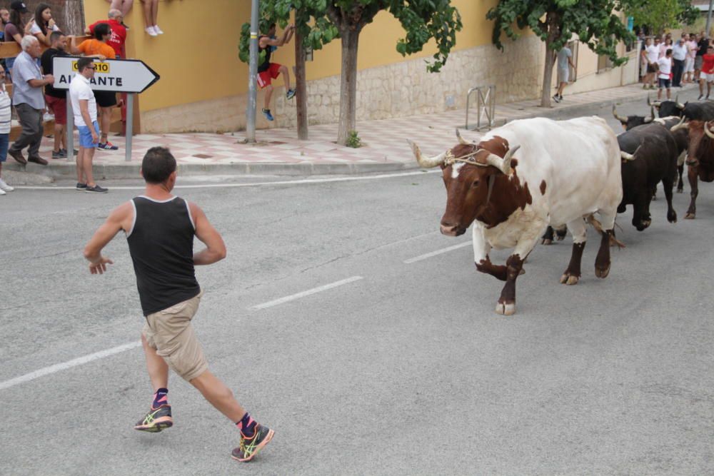 Tibi celebra su tradicional "Entrà de la Vaca"