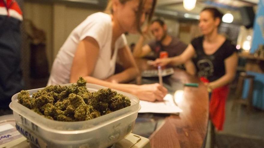 España abordará el debate sobre la legalización del cannabis