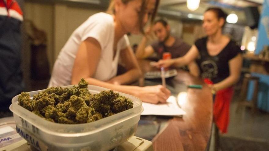 La mayoría de los jóvenes españoles apuestan por la legalización controlada del cannabis