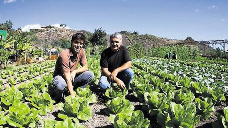 La tierra devuelve la vida