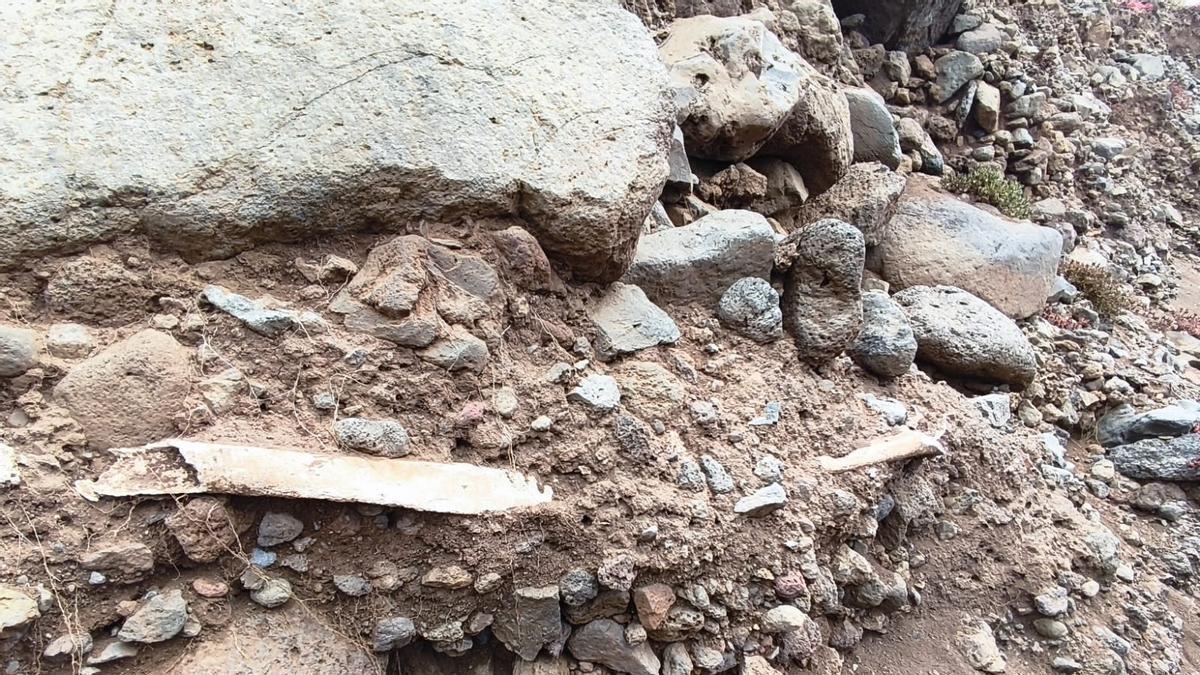 Una muestra de los restos humanos encontrados en la costa de Garachico