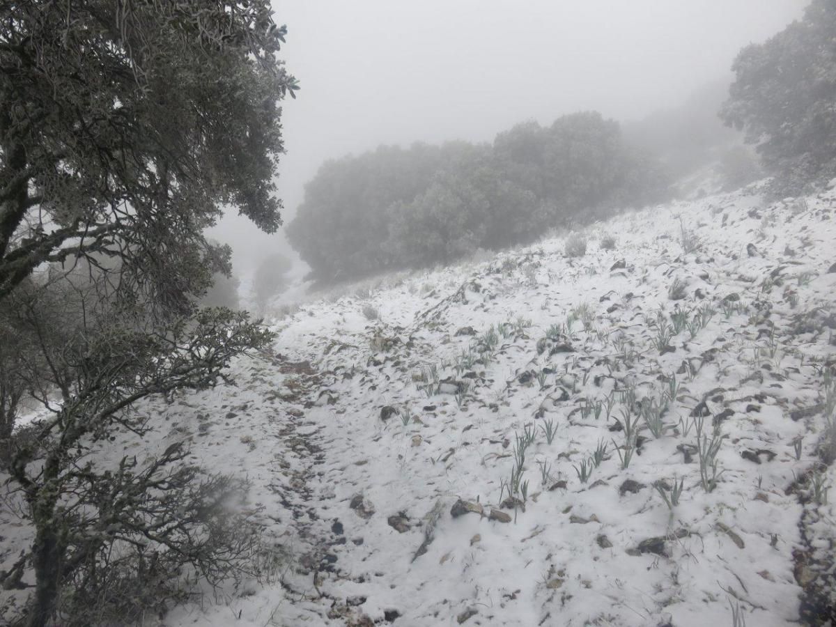 Nieve en la provincia de Córdoba