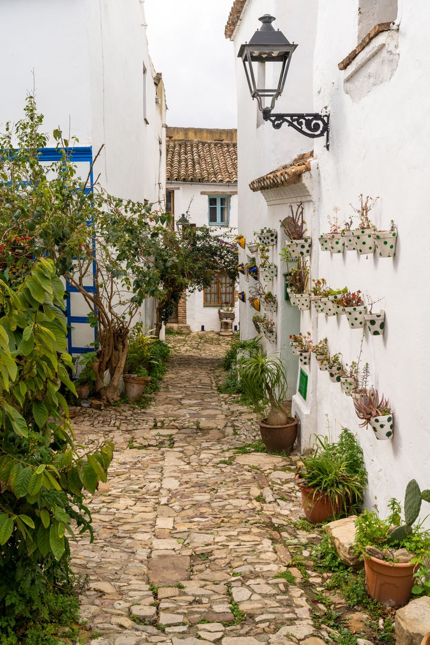 Estrecha calle peatonal bordeada de plantas en el centro histórico de Castellar de la Frontera
