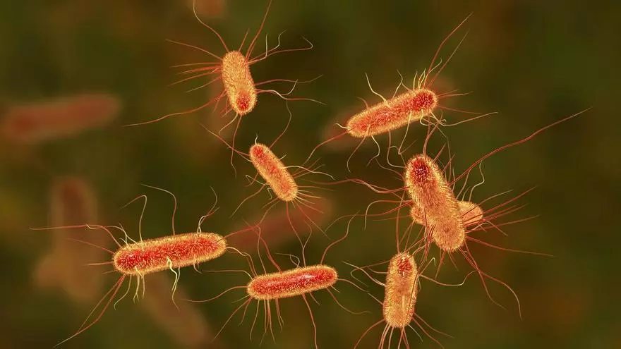 Esta es la bacteria relacionada con el aumento de casos de cáncer colorrectal entre los jóvenes