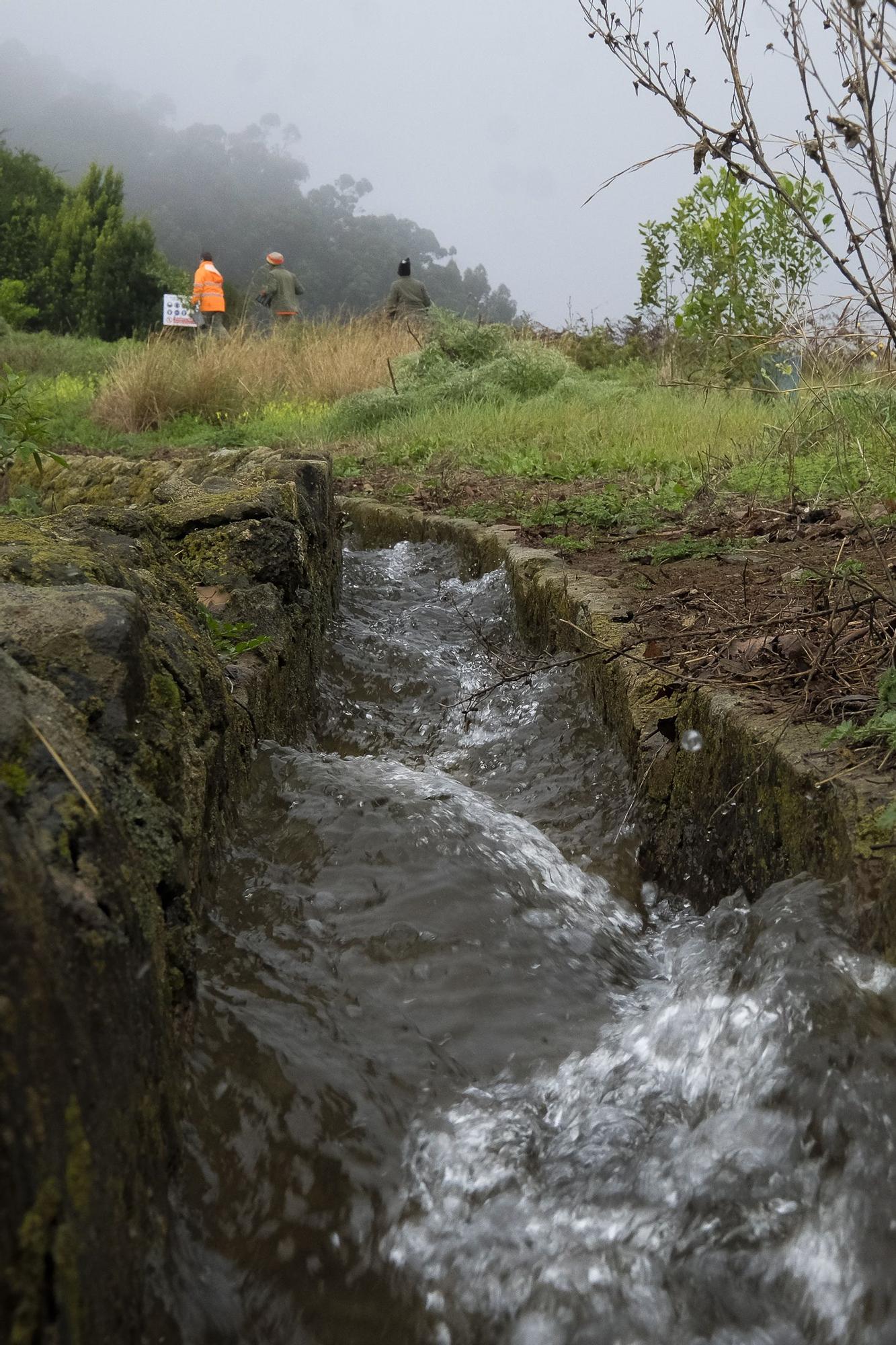 Las medianías de Gran Canaria tras las lluvias de enero