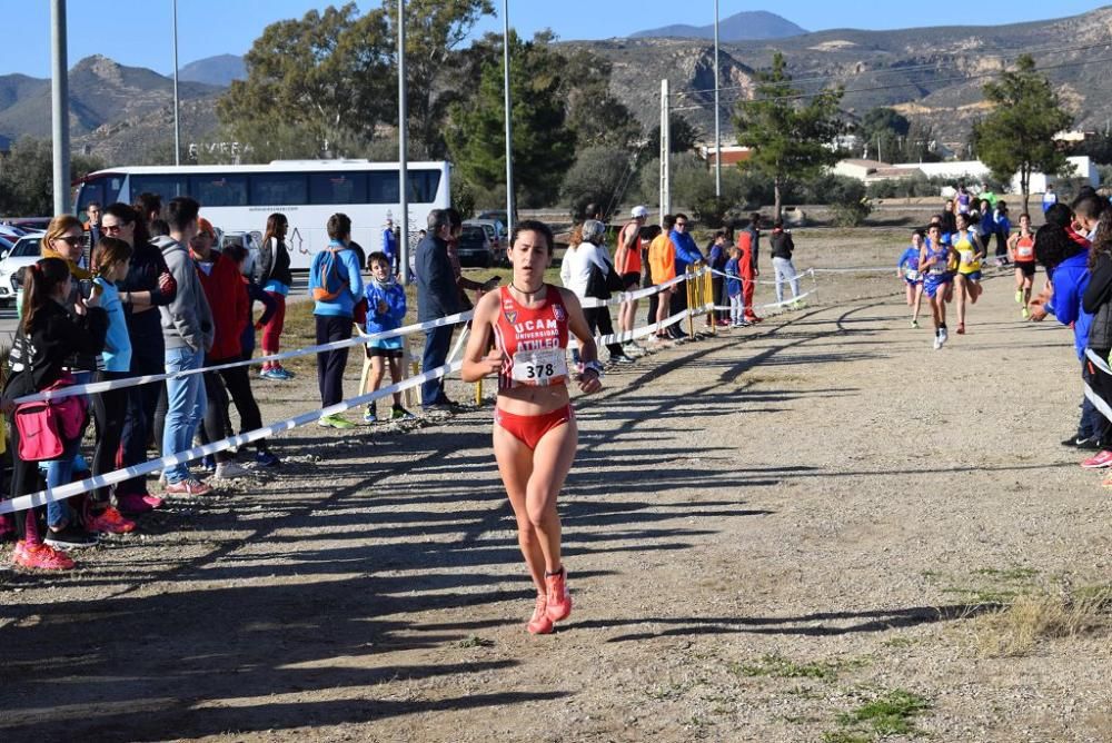 Cross de Puerto Lumbreras