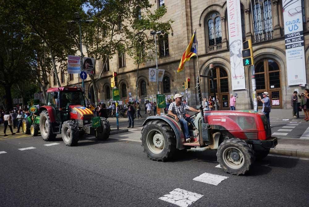 El desafío soberanista