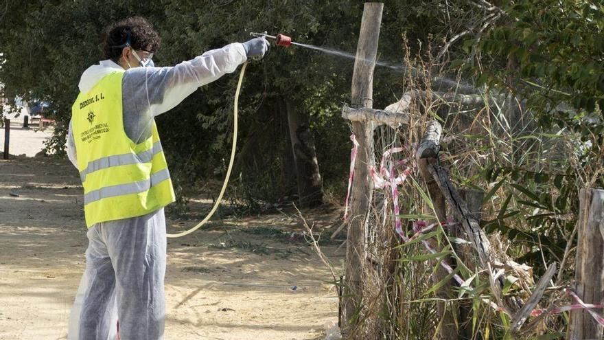 El virus del Nilo llega a noviembre con un repunte de municipios en alerta: &quot;Es raro con relación a otros años&quot;