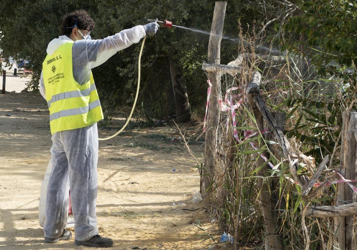 27/08/2025 Una persona lleva a cabo tratamientos para combatir el virus del Nilo. POLITICA AYUNTAMIENTO DE UTRERA