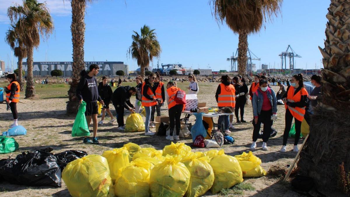 UTE Alicante facilita a los voluntarios el material necesario para las acciones.