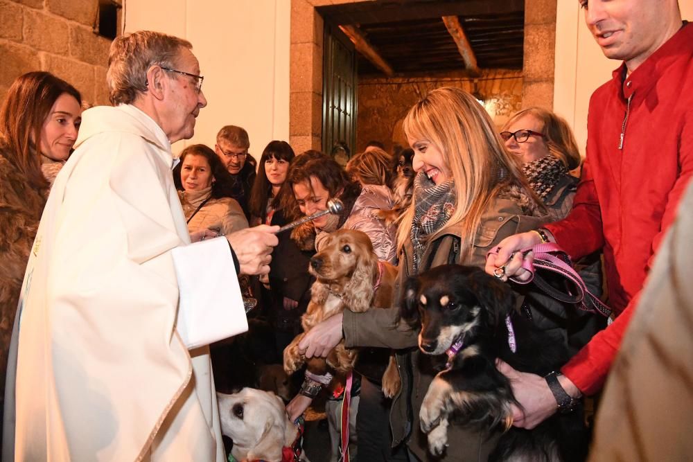 Bendición de mascotas en A Coruña