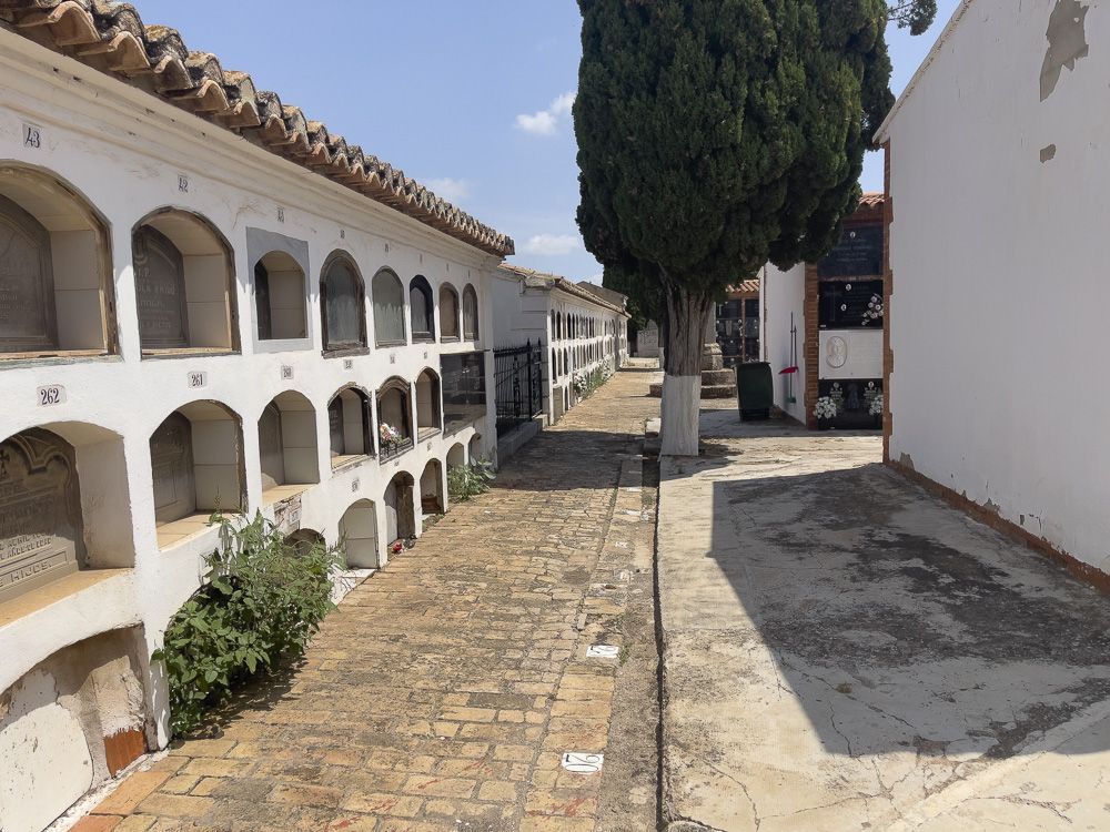 Asignaturas pendientes en los cementerios de Sagunt